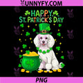 Happy St. Patrick's Day PNG, Poodle Shamocks Owner Irish PNG