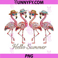 Hello Summer Flamingo Beach PNG, Vibes Flamingo Club Meme PNG
