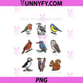 How To Identify Birds PNG, Squirrel Not Bird Funny PNG