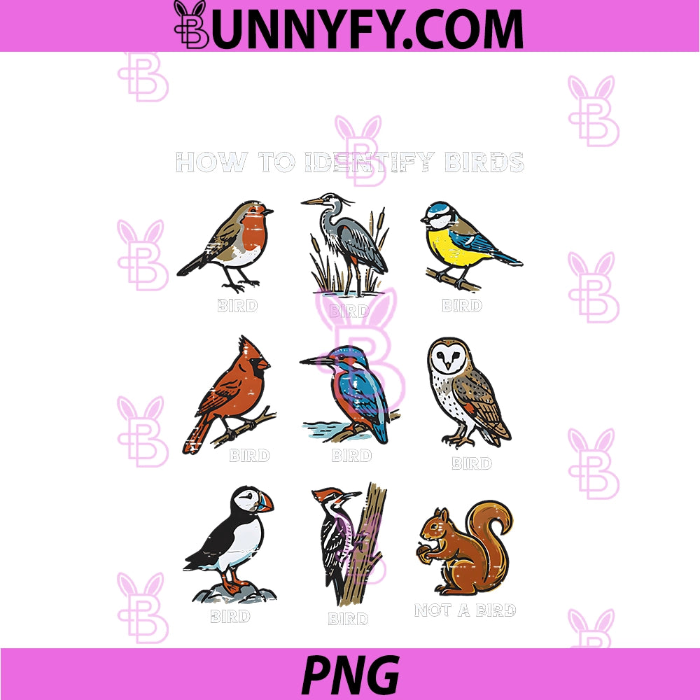 How To Identify Birds PNG, Squirrel Not Bird Funny PNG