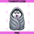 Husky Burrito Blanket Wrapped Blue Eyes Cozy PNG, Funny Dog Cute PNG