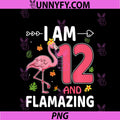 I Am 12 And Flamazing PNG, Flamingo Lover 12th Birthday Party PNG