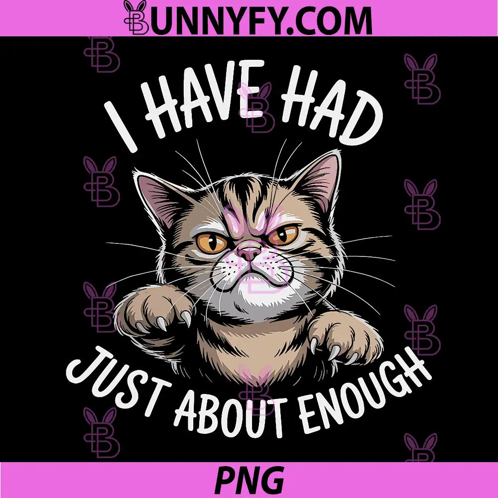 I Have Had Just About Enough PNG, Cute Cat Meme PNG