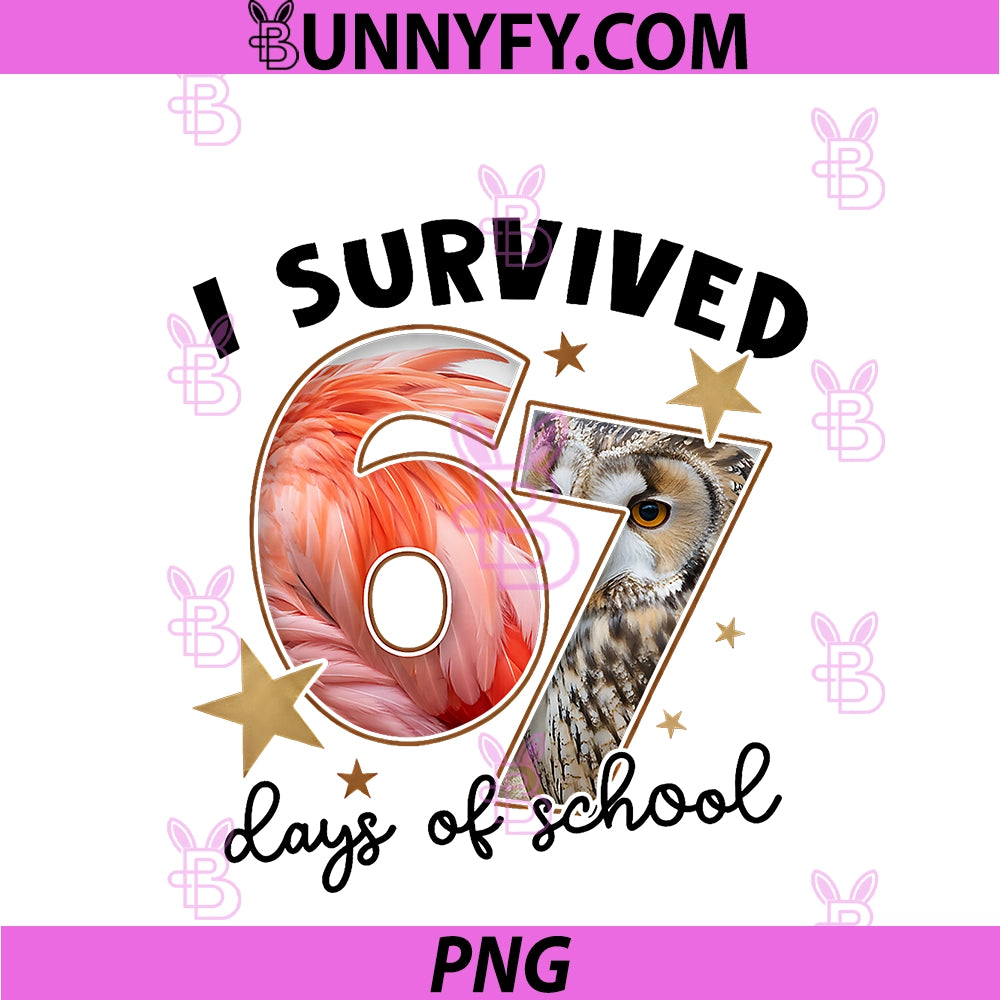 I Survived 67 Days Of School PNG, Teachers Flamingo & Owl Lovers PNG