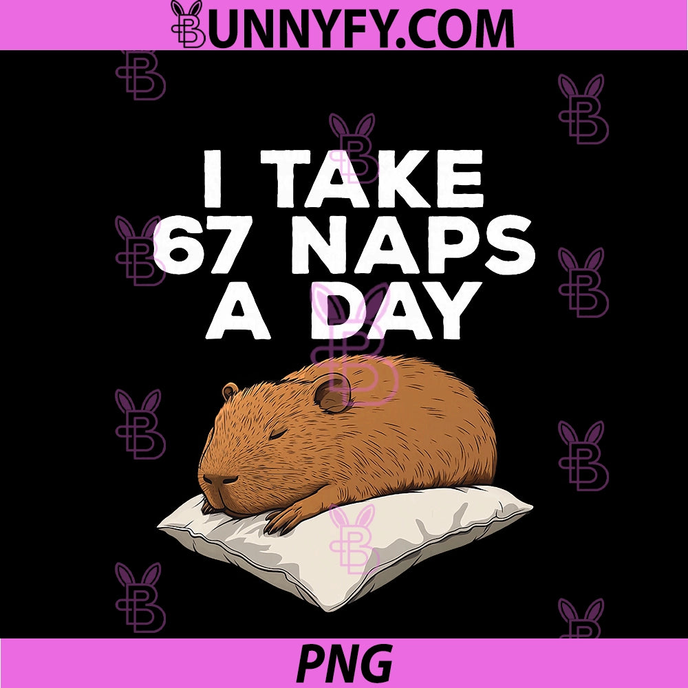 I Take 67 Naps A Day PNG, Funny Capybara Six Seven Meme PNG