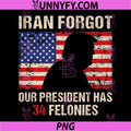 Iran Forgot Our President Has 34 Felonies PNG, Vintage US Flag PNG