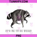 It's Ok To Be Weird PNG, Timothy Team Jimothy Raccoon Meme PNG