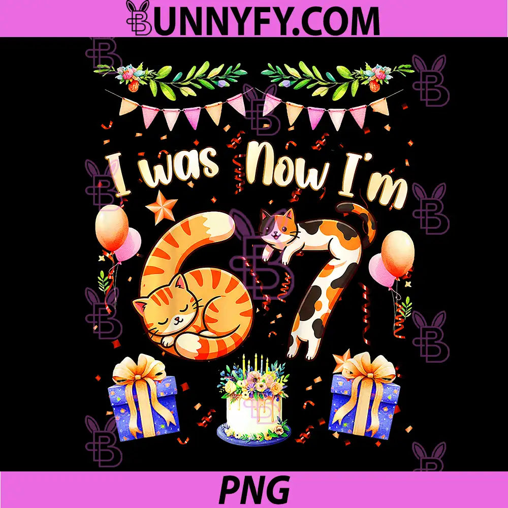 I was 6 Now I'm 7 PNG, Birthday Cats Meme Six Seven 67 PNG