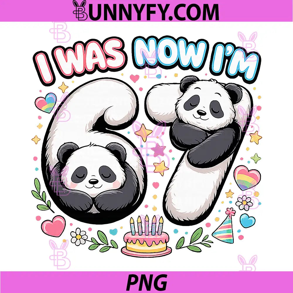 I was 6 Now I'm 7 PNG, Funny 6 7 Six Seven Meme Panda Birthday PNG