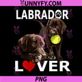 Labrador Lover PNG, Chocolate Lab Dog The Lab PNG