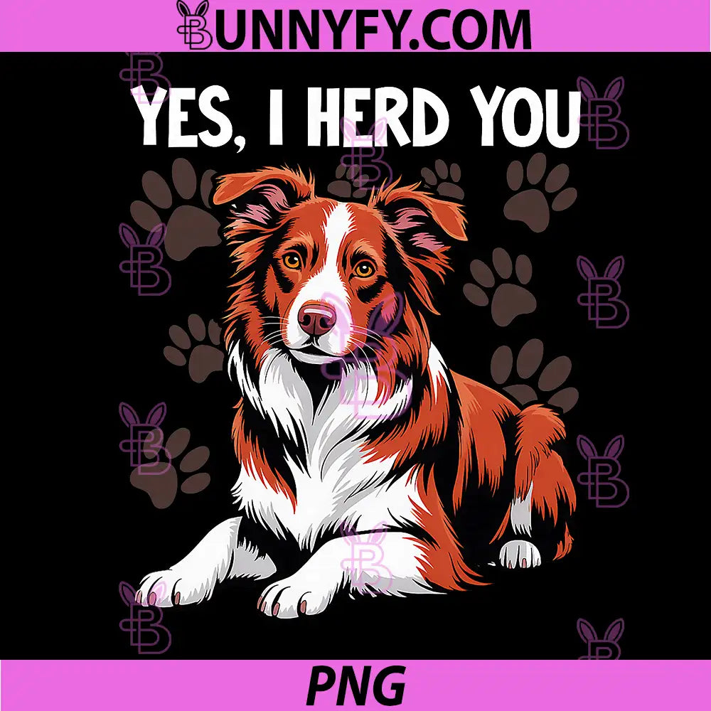 Yes I Herd You PNG, Red Border Collie PNG