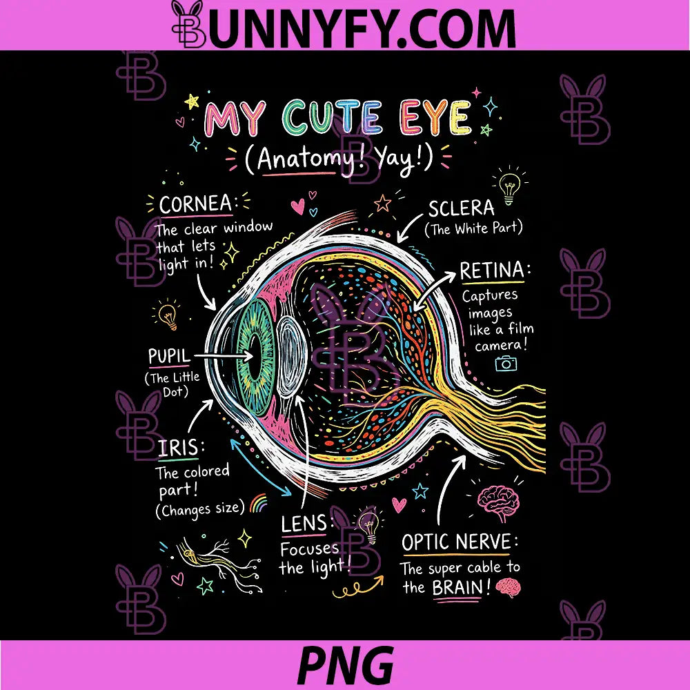 My Cute Eye Anatomy Yay PNG, Human Vision Science PNG