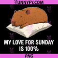 My Love for Sunday is 100 PNG, Funny Sleepy Capybara PNG