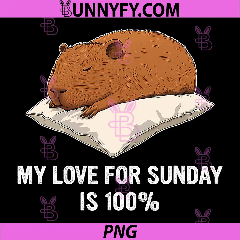 My Love for Sunday is 100 PNG, Funny Sleepy Capybara PNG
