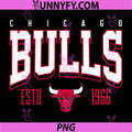 NBA Official PNG, Chicago Bulls Battle Tested PNG