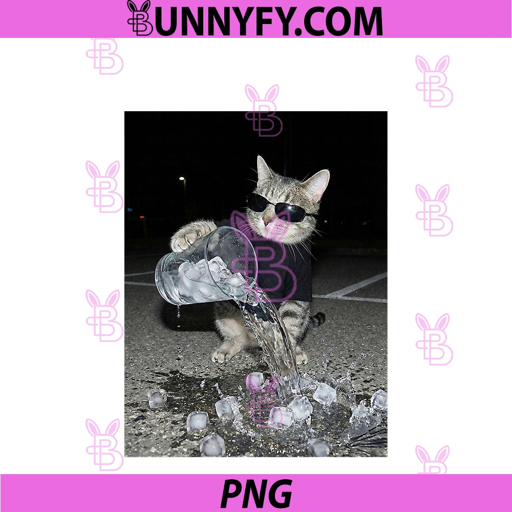 No Ice Please PNG, Funny Cat Meme Men Women PNG