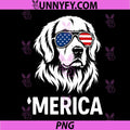 Patriotic Miniature Golden PNG, Retriever Dog Merica 4th of July PNG