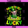 Pawsitively Lucky PNG, French Bulldog Leprechaun St Patricks Day PNG