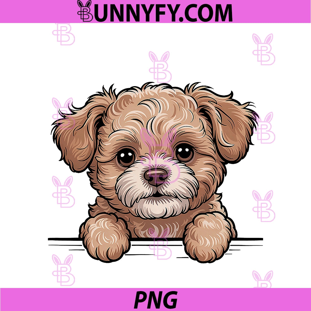 Peekapoo Cute Peeking Peke-A-Poo PNG, Pekingese Poodle Mix Dog PNG