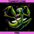 Praying Mantis Kung Fu PNG, Fighting Insect Martial Arts PNG