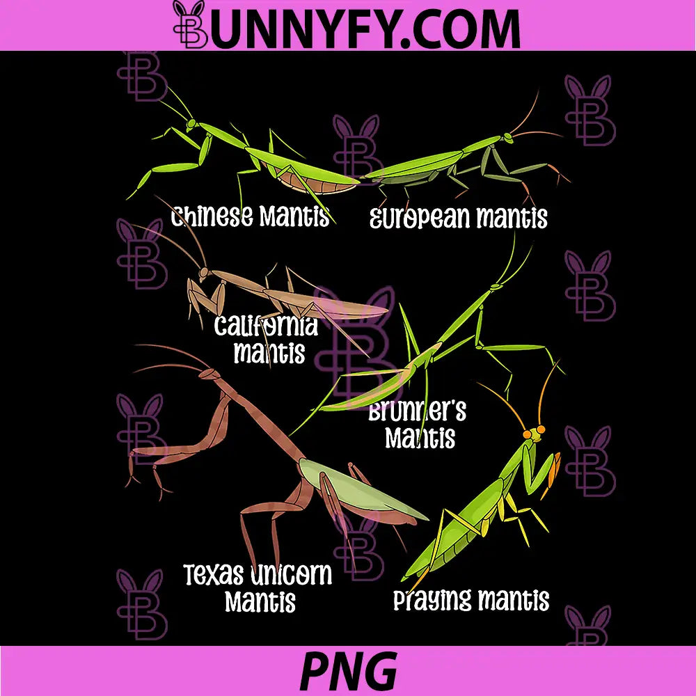 Praying Mantis Lover PNG, Insects Species Praying Mantis PNG