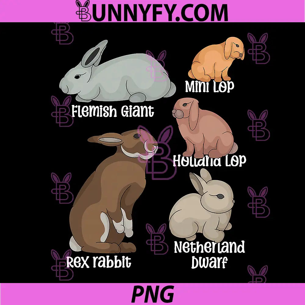 Cute Rabbit Species Artwork PNG, Holland Lop Netherland Dwarf PNG