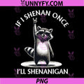 If I Shenan Once I'll Shenanigan PNG, Funny Raccoon PNG