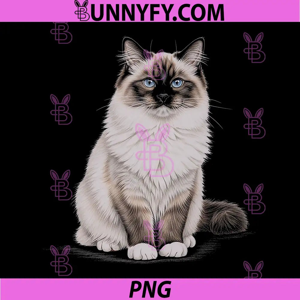 Ragdoll Cat Drawing Art PNG, Blue Eyed Ragdoll Cat Portrait PNG