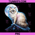 Ragdoll Cat Moonlit Rooftop Night PNG, Feline Spirit PNG