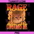 Rage Consumes Me PNG, Angry Cat Meme Funny Saying Cats PNG