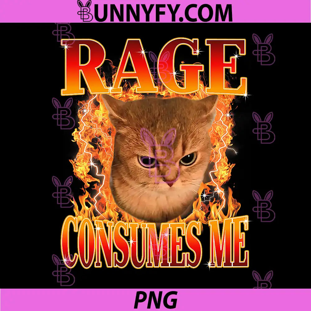 Rage Consumes Me PNG, Angry Cat Meme Funny Saying Cats PNG