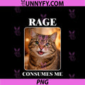 Rage Consumes Me Cute PNG, Staring Cat Meme PNG