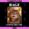 Rage Consumes Me PNG, Cute Staring Cat Meme PNG