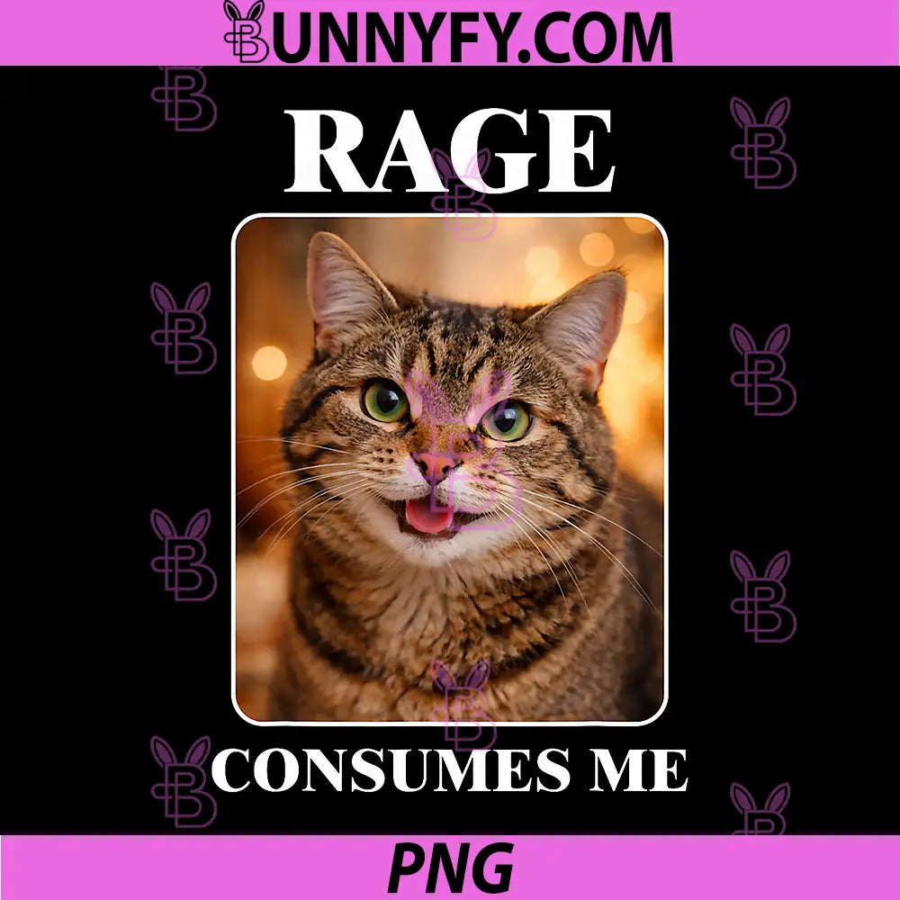 Rage Consumes Me PNG, Cute Staring Cat Meme PNG