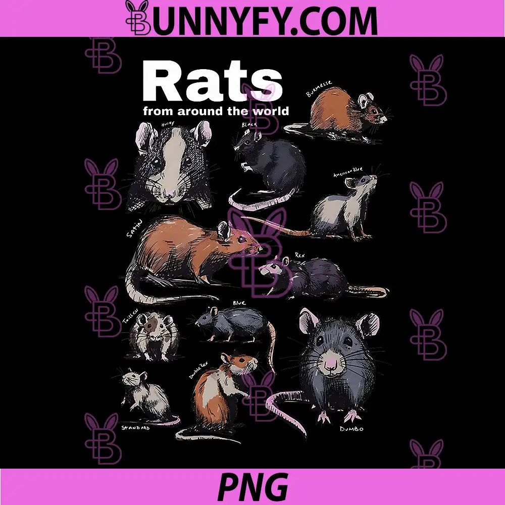 Rats from Around The World PNG, Vintage Rodent Chart PNG