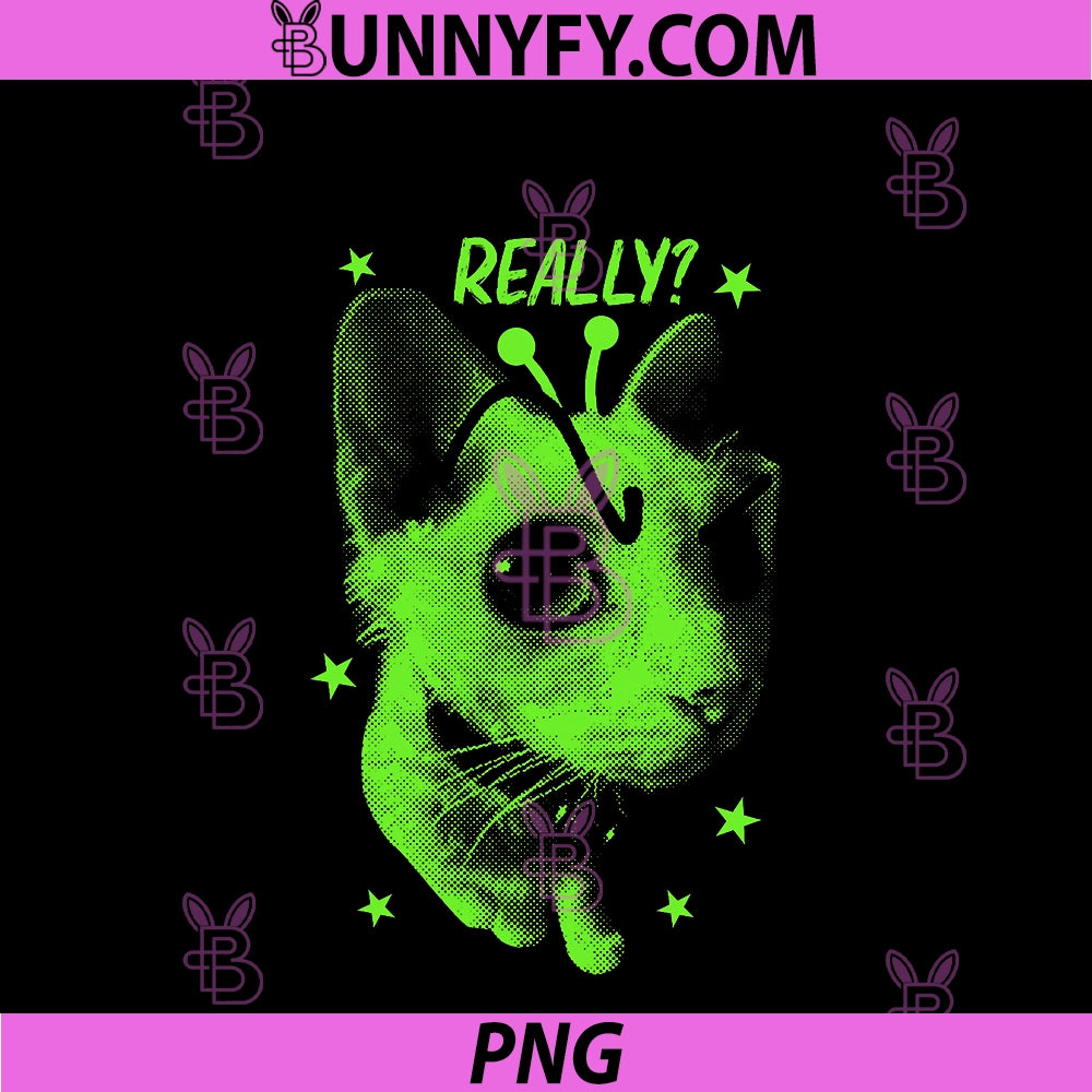Really Alien Cat Brainrot Meme PNG, Funny Silly Cat Meme PNG