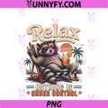 Relax Nothing Is Under PNG, Control Chill Raccoon PNG