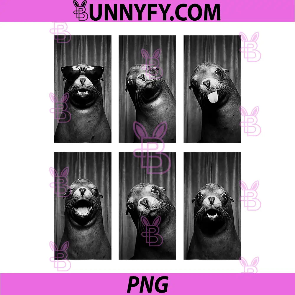Sea Lion Photobooth PNG, Funny Ocean Animal Portrait PNG