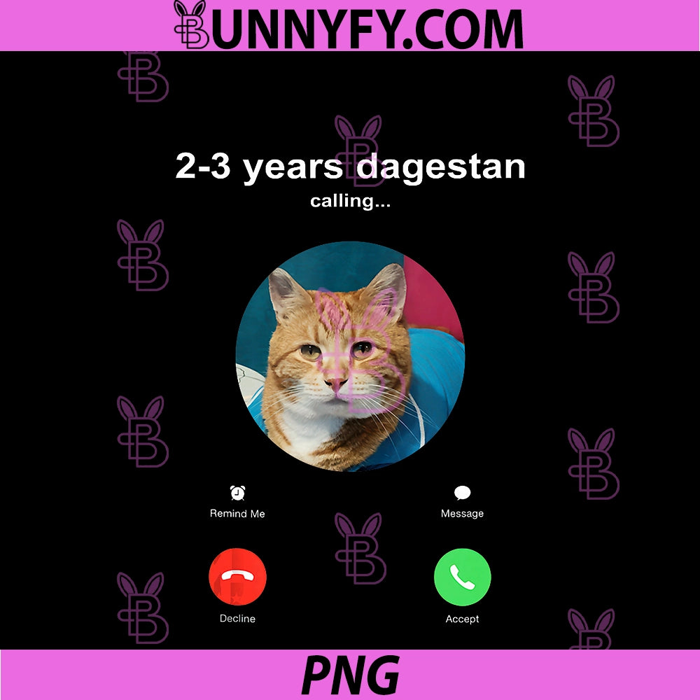 Send Him 2-3 Years Dagestan PNG, Funny MMA Wrestling Cat PNG