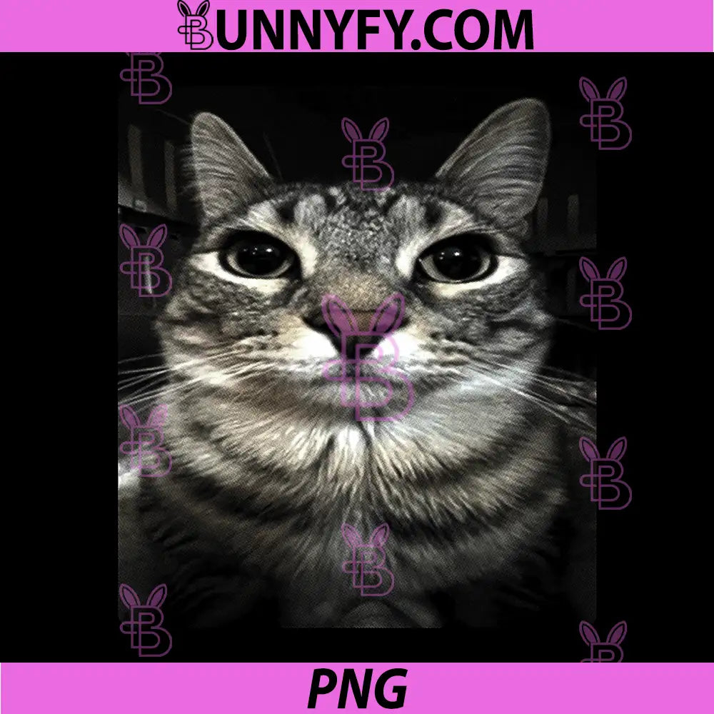 Silly Cat Face PNG, Cute Funny Cat Meme PNG