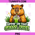 Sipping Grass Juice PNG, Capybara Laid Back Healthy Lifestyle PNG