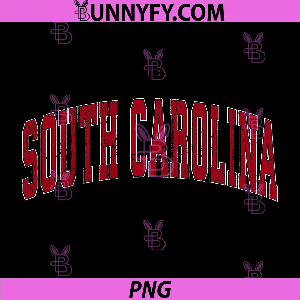 South Carolina Vintage PNG, Sports Design Retro SC PNG