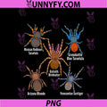Spiders Lover Kids Arthropod Arachnid PNG, Tarantula Spider PNG