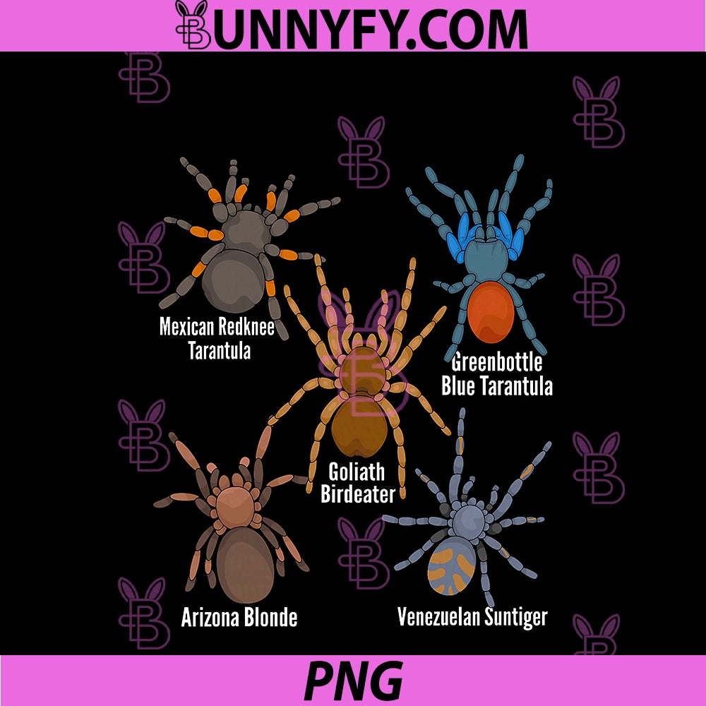 Spiders Lover Kids Arthropod Arachnid PNG, Tarantula Spider PNG