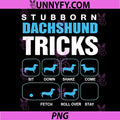 Stubborn Dachshund Tricks PNG, Sit Down Shake Come Fetch Roll PNG