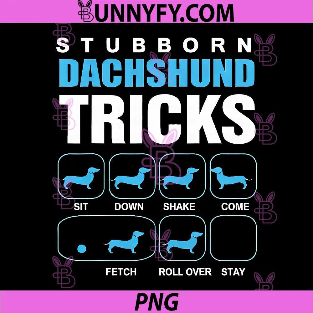 Stubborn Dachshund Tricks PNG, Sit Down Shake Come Fetch Roll PNG