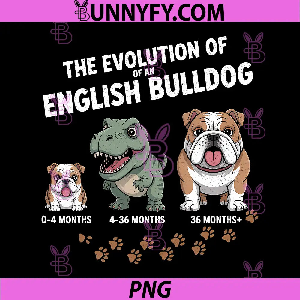 The Evolution of an English Bulldog PNG, Funny Animal PNG