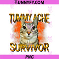 Tummy Ache Survivor Cat Meme PNG, Funny Saying Cats Animals PNG