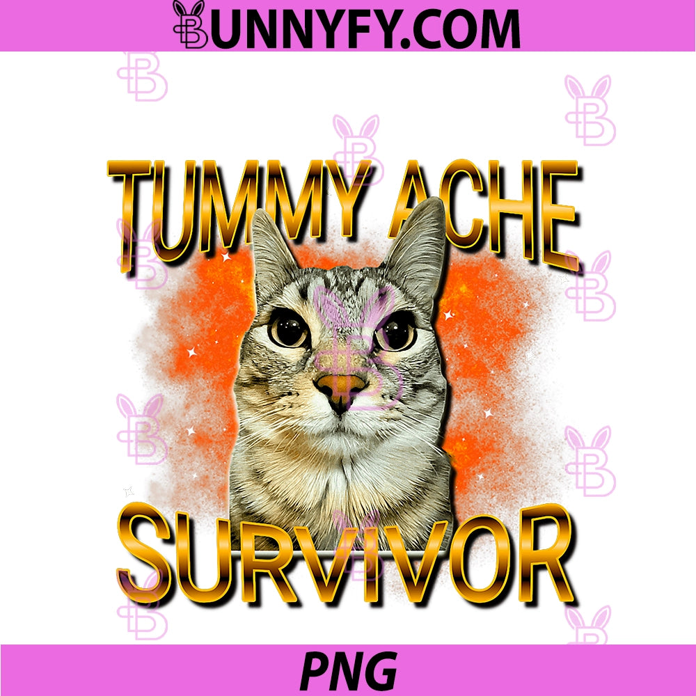 Tummy Ache Survivor Cat Meme PNG, Funny Saying Cats Animals PNG
