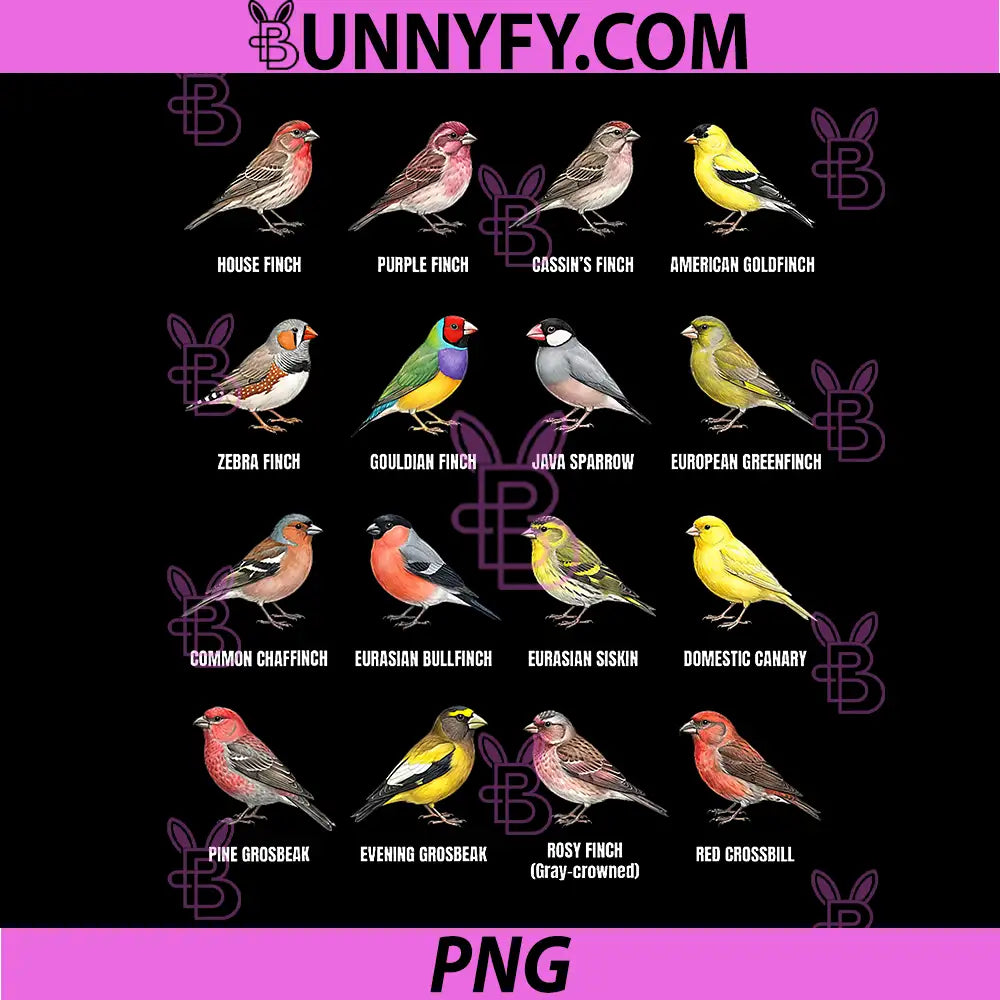 Types of Finch Birds PNG, Species Chart Finches Bird Lovers PNG